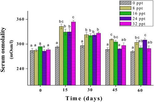 Figure 1. Serum osmolality of obscure puffer reared at salinities of 0, 8, 16, 24, and 32 ppt. Different letters indicate significant differences (p < .05) between salinity groups at each sampling date.