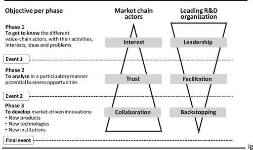 Figure 1. Three-phase structure of the PMCA. Source: Bernet, Thiele, and Zschocke Citation2006.