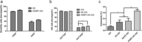 Figure 6. HCBP1 peptide-treated-DC-CIK cells had specific cytotoxicity on H460 sphere cells coated with HCBP1 peptides in vitro. (a). The quantification of CD80 and CD83 expression of DCs, HCBP1-DC cells for 7 days in culture is given as mean ± SEM from three independent experiments. (b). The quantification of CD3+CD8+ and CD3+CD56+ expression of CIK, DC-CIK and HCBP1-DC-CIK for 14 days in culture are given as mean ± SEM from three independent experiments. *P < 0.05. C. H460 sphere cells were incubated with CIK, DC-CIK, Ag-DC-CIK or HCBP1-DC-CIK cells for 24 h at E: T ratios of 20:1. The target cells were incubated with HCBP1 polypeptide (50 μg/mL) for an hour before mixed with the effector cells. Data were given as mean ± SEM from three independent experiments. *P < 0.05, **P < 0.01.