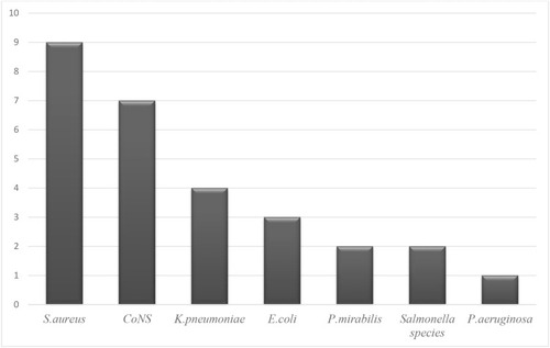 Figure 1 Distribution of bacterial species isolated in study participants.