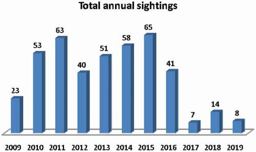 Figure 2. Total annual sightings of white sharks (Carcharodon carcharias) in Gansbaai (2009–2019)