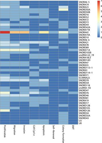 Figure 4 Heatmap of the cell gene function research.