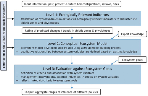 Figure 3. The integrated three-level hybrid modelling system that translates hydro-morphological simulations via ecologically relevant indicators to characteristic abiotic zones and physiotopes, which are linked through the conceptual ecosystem model at its heart to the ecosystem goals (Slinger, Citation2000).