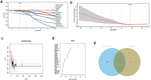 Figure 6 Machine learning was used to screen the diagnostic genes of OA.