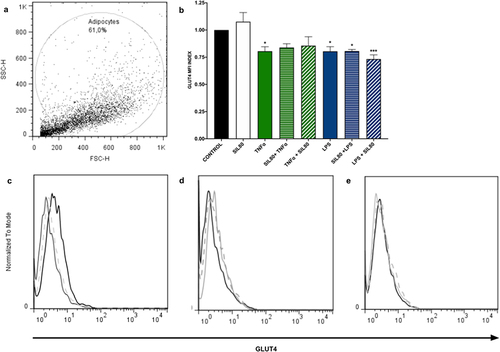 Figure 3. GLUT4 protein expression is not modified with silybin treatment. (a) Flow cytometric analysis of 3T3-L1 adipocytes. (b) GLUT4 protein expression by 3T3-adipocytes after treatment with 80 μM of silybin (SIL80), TNFα, LPS, pre-treated with silybin and then stimulated with TNFα (SIL80 + TNFα) or LPS (SIL80 + LPS), challenged with TNFα and then post-treated with silybin (TNFα + SIL80), or challenged with LPS and then post-treated with silybin (LPS + SIL80). The control group received only a maturation medium and vehicles (control value set at 1). Data represented mean ± SEM from 5 independent experiments and were analysed by one-way ANOVA, followed by a Dunnett’s post hoc test. *p ≤ 0.005 compared to the control group. The MFI index was calculated by dividing the MFI-treated group by the MFI-negative control. (c) Representative flow cytometry histograms showing GLUT4 protein expression in 3T3-L1 adipocytes after treatment with 80 μM of silybin (SIL; solid black line), TNFα (solid grey line), or LPS (dashed grey line). (d) Representative flow cytometry histograms showing GLUT4 protein expression in 3T3-L1 adipocytes after treatment with TNFα (solid black line), pre-treated with silybin and then challenged with TNFα (SIL80 + TNFα; dashed grey line), or treated with TNFα and then post-treated with silybin (TNFα + SIL80; solid grey line). (e) Representative flow cytometry histograms showing GLUT4 protein expression in 3T3-L1 adipocytes after treatment with LPS (solid black line), pre-treated with silybin and then challenged with LPS (SIL80 + LPS; dashed grey line), or treated with LPS and then post-treated with silybin (LPS + SIL80; solid grey line).