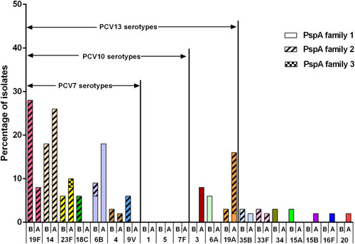 Figure 2 Serotype distribution before and after PCV13 introduction. B represents before introduction of PCV13, and A represents after introduction of PCV13. Each serotype is colored specifically. The height of the column indicates the composition ratio of the serotype in either period. The proportion of PspA family 1, 2 and 3 are expressed by different filling patterns.