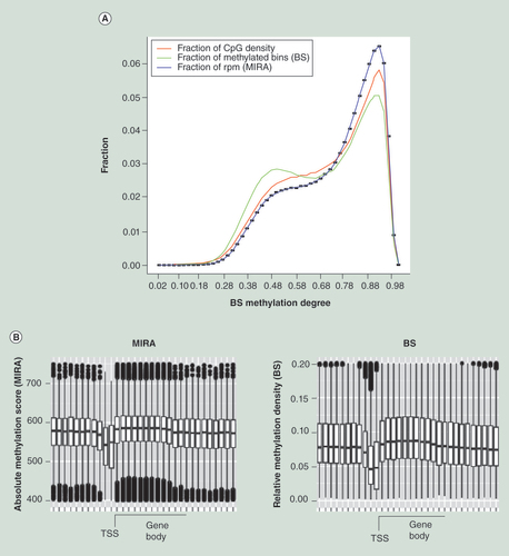 Figure 5.  Whole genome comparison between bisulfite sequencing and MIRA-seq for IMR90 cells. (A) The percentages of MIRA-seq read fractions were plotted against the smoothed BS methylation degree for 500-bp windows and compared with the fraction of methylated bins calculated from Lister et al. [Citation5] and the fraction of CpG density. (B) Using MIRA-seq and bisulfite sequencing, methylation levels were compared along genes.BS: Bisulfite; MIRA: Methylated-CpG island recovery assay; TSS: Transcription start site.