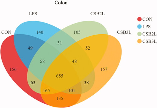 Figure 3. Venn diagram demonstrating the unique and shared OTUs in the colonic digesta in different treatments. CON: basal diets without supplement; LPS: control diet with lipopolysaccharide; CSB2L: LPS treatment group supplemented with 2 g/kg CSB. CSB3L: LPS treatment group supplemented with 3 g/kg CSB.