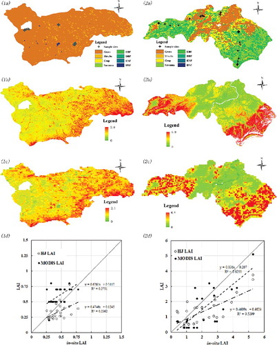 Figure 7. Comparison between in-situ LAI and HJ-1 LAI values for two sample sites.