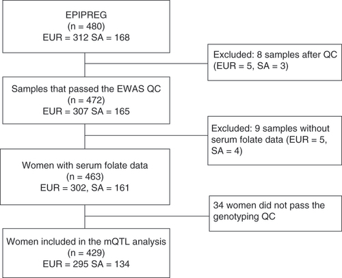 Figure 1. Study flow diagram that shows the samples selected for the epigenome-wide association study analyses. EUR: Europeans; EWAS: Epigenome-wide association study; QC: Quality control; SA: South Asians.