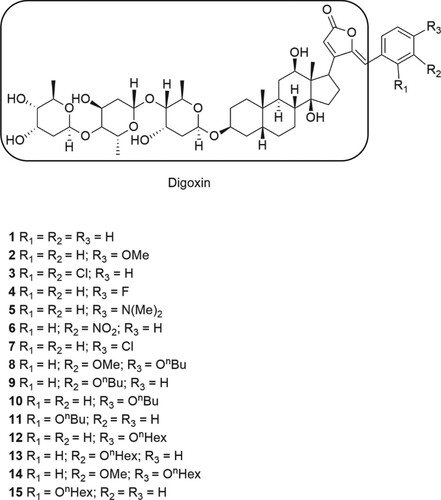 Figure 1. Chemical structures of digoxin and the respective radicals of their derivatives. The figure represents the radicals of each of the 15 digoxin derivatives inserted in the digoxin structure (highlighted rectangle) and its respective position.