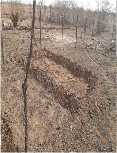 Figure 3. An example of a place prepared by one member of AIDMR to demonstrate the aerobic compost-making technique (left).