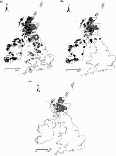 Figure 3. Reconstructed historical ranges at approximately (a) 500, (b) 1800 and (c) 1920 CE of Golden Eagles (dark grey), and White-tailed Eagles (pale grey). Potential overlap (‘shared airspace’) is shown in black.