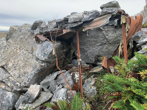 Figure 15. Possible observation post shelter. Note rocks on roof and sheeting from recycled barrel forming wall to right behind heavy girder upright in corner.