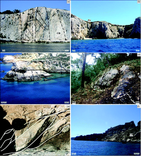 Figure 5. Main tectonic elements (CitationMiccadei et al., 2011a). (a) San Domino, I Pagliai, intensely tectonized area, characterized by NW-SE-oriented fault surfaces and cataclastic rocks; (b) Capraia, NW-SE-oriented faults; (c) Cretaccio, NE-SW-oriented faults, characterized by cataclastic rocks; (d) San Domino, Poggio Romito, visible E-W fault plane on carbonate bedrock (CB); (e) San Domino, Cala Tramontana, sigmoid structure indicating right strike-slip kinematic (plan view); (f) San Nicola, tectonic contact between Miocene limestone and marl, in the southeast sector of San Nicola.