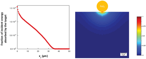 Fig. 4. Fraction of the incident energy absorbed by a PE target as a function of the depth for a spherical grain of PuO2 with a radius of 5 µm; α energy is 5.5 MeV.