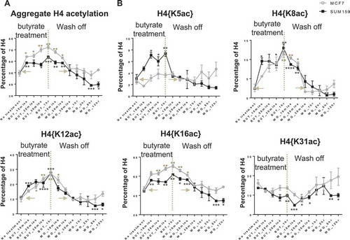 Figure 2. Cells recover rapidly after removal of butyrate. (A) The aggregate level of H4 acetylation and (B) discrete H4 acetylations recover within 30 min after removal of butyrate. Error bars represent standard error from three biological replicates and all statistics are relative to basal conditions (time 0).