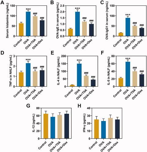 Figure 3. The effects of OVA and Dex on the levels of OVA-IgE, OVA-IgG1, TNF-α, IL-4, IL-5, IL-12 and IFN-γ in the serum and NALF of OVA-induced AR mice. (A) The contents of histamine in the serum were measured by o-phthalaldehyde spectrofluorometric method. (B, C) The contents of OVA-IgE and OVA-IgG1 in the serum were detected by ELISA. (D–H) The contents of TNF-α, IL-4, IL-5, IL-12 and IFN-γ in the NALF were tested by ELISA. ***p < 0.005, ###p < 0.005, * vs. control; # vs. OVA.