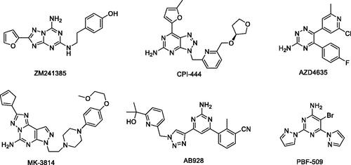 Figure 1. Chemical structures of A2 adenosine receptor antagonists.