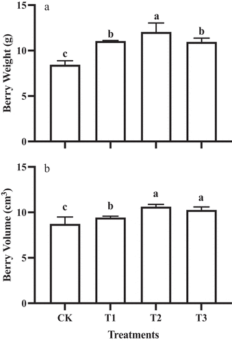 Figure 2. Berry weight (a) and volume (b) of ‘Shine Muscat’ fruit subjected to different GA3 treatments. Different lower-case letters indicate significant differences among treatments (n= 3, Duncan’s test, p<.05).