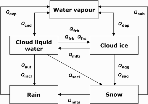 Fig. 1 Microphysical processes in layer clouds in CanAM4. See Table 3 for an explanation of terms.