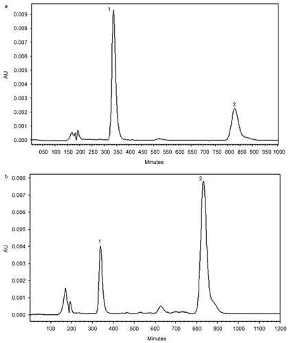 Figure 2.  Typical chromatograms of Hypericum scabrum (A) and H. bupleuroides (B) flower extracts obtained by HPLC separation at 590 nm. Peak identified: 1–pseudohypericin, 2–hypericin.