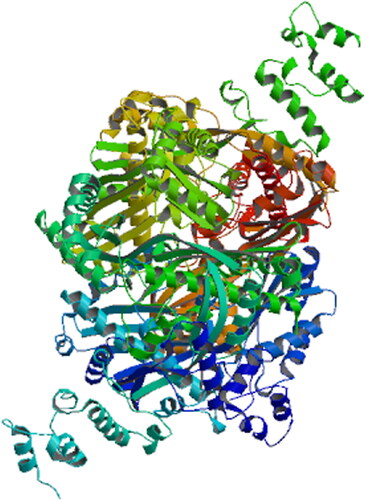 Figure 3. Three-dimensional structure prediction of SbHMGR protein.