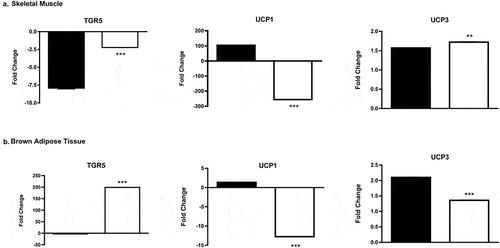 Figure 3. qPCR gene expression analysis (Fold Change) of TGR5, UCP1, and UCP3 in (a) skeletal muscle and (b) brown adipose tissue following 6 wk of chronic methylone (10 mg/kg, sc) treatment of male (■) and female (□) rats. ** = male and female fold changes for that specific gene are significantly different from each other (p < 0.0004). ** = male and female fold changes for that specific gene are significantly different from each other (p < 0.0001). Each value is the mean ± SEM (n = 6).