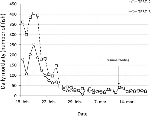 Figure 7. Daily mortality in test-pens 2 and 3 from starvation February 15 and until the end of March 2016. Feeding was resumed on March 12, 2016