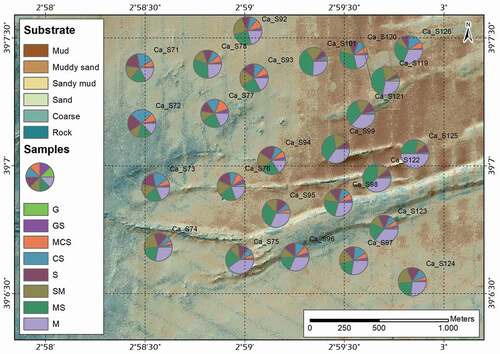 Figure 7. Predicted seafloor substrate distribution extracted from backscatter intensity. Granulometric analysis determined on sediment samples. Spatial variability in the percentages of mud, sand and gravel contents in surface sediment. The pies represent the quantification of textural composition. G: Gravel; GS: Gravelly Sand; MCS: Medium Coarse Sand; CS: Coarse Sand; S: Sand; SM: Sandy Mud; MS: Muddy Sand; M: Mud