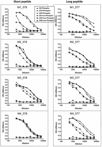 Figure 2. Sera evaluation by CDK4 peptide ELISA.