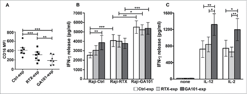 Figure 5. Obinutuzumab-experienced NK cells exhibit an enhanced IFNγ production in response to cytokines, targets or obinutuzumab re-stimulation. Primary cultured NK cells were isolated upon 90 min of co-culture (2:1) with biotinylated rituximab (RTX-exp)-, obinutuzumab (GA101-exp)-opsonized or non-opsonized Raji (Ctrl-exp) and re-plated for 12 h. (A) NK cells were stained with anti-CD16 (Leu11c) mAb for FACS analysis. Graph depicts CD16 MFI and data are presented as median with the interquartile range. **p < 0.01, ***p < 0.0005. (B) NK cells were re-stimulated (2:1) with non-opsonized targets (Raji-Ctrl), rituximab-opsonized (Raji-RTX) or obinutuzumab-opsonized (Raji-GA101) target cells in the presence of IL-12 (10 ng/mL), or (C) left untreated (none) or treated with IL-12 (10 ng/mL) or IL-2 (100 U/mL). After 18 h, supernatants were collected and assessed for IFNγ levels. Data are presented as mean ± SEM of seven independent experiments. *p ≤ 0.05, **p ≤ 0.01, ***p ≤ 0.0001. Compared to untreated (none), all the differences were statistically significant (p ≤ 0.001).