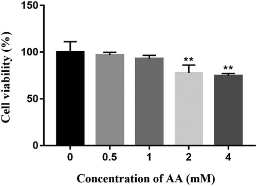 Figure 1. Effects of AA on Kupffer cells viability. The cells viability of AA-treated Kupffer cells was determined using CCK-8 method. The values are presented as means ± of SD (n = 3). Significant differences with control group were designated as **P < 0.01.