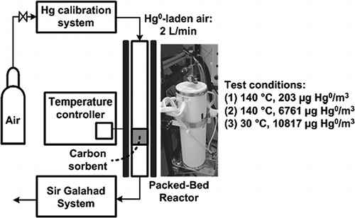 Figure 1. Schematic of the packed-bed reactor system.