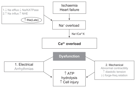 Figure 1 Ionic disturbances in ischaemia and heart failure, and their consequences. Belardinelli L, Antzelevitch C, Fraser H. Inhibition of late (sustained/persistent) sodium current: a potential drug target to reduce intracellular sodium-dependent calcium overload and its detrimental effects on cardiomyocyte function. Eur Heart J. 2004;6 (Suppl I):13–17.Citation11 By permission Oxford University Press, copyright © 2004.