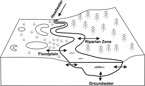 Figure 3. The four-dimensional nature of the riverine ecosystem (Ward Citation1989; Ward and Standford Citation1989): longitudinal connectivity along the entire length of a stream; periodic lateral connectivity to the floodplain and/or riparian zone (terms often used for the same streamside areas), and the resulting exchange of water, sediment, organic matter, nutrients and organisms; vertical connectivity between the atmosphere, streamflow and groundwater; temporal connectivity of continuous physical, chemical and biological interactions over time. As outlined in the text, the floodplain provides a mosaic of aquatic habitats, such as oxbow lakes and wetlands, and potential floodwater storage areas.