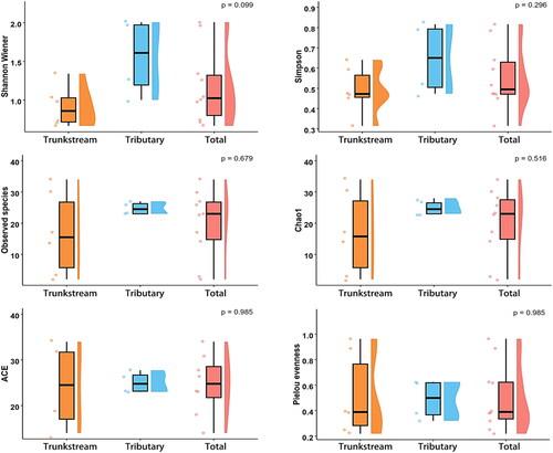 Figure 6. Alpha diversity of macroinvertebrates in the Dayang River Basin based on environmental DNA surveys.