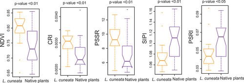 Figure 5. Differences in vegetation indices for L. cuneata versus native plants using the Mann-Whitney U test based on our airborne hyperspectral data. Significant differences in vegetation indices indicate the ability of these indices in distinguishing L. cuneata from native plants. Vegetation index acronyms: NDVI: normalized difference vegetation Index, CRI: carotenoid reflectance Index, PSSR: pigment-specific spectral Ratio, SIPI: structurally insensitive Pigment Index, and PSRI: plant senescence reflectance Index.