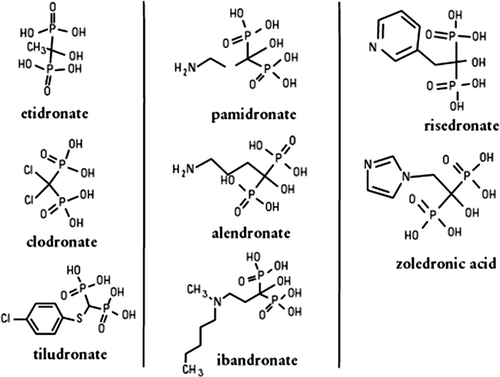 Figure 1.  Different chemical structures of bisphosphonates.