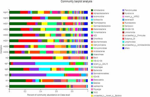 Figure 2. Horizontal community composition of microbiota