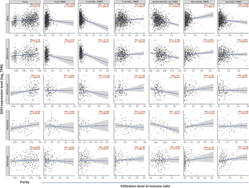 Figure 6. Infiltration level of immune cells in breast cancer and different molecular subtypes.