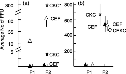 Figure 6. Increase in the number of MDV FFU in p2 using MDV-infected CEF. 6a: p1 RB-1B-infected CEF were trypsinized and the cells were passed to CEF or CKC (experiment 2). 6b: p1 RK-1-infected CEF were trypsinized and the cells were passed to CKC, CEF, or CEKC (experiment 3). The values represent the average number of FFU based on four dishes for two individual bird samples (#1=open symbols and #2=closed symbols (a) or the average value for three individual birds (b). The open and closed symbols in (b) are representing the same birds in p1 but cells were passed to CEF and CEKC (open symbols) or CEF and CKC (closed symbols). Significant differences: * P<0.05 using Student's t test; vertical bars indicate the standard deviation.