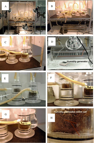 Fig. 3  Humidity cell design for the experiments performed on the sample mudstone. (A–D) show the experimental apparatus and humidity generator consisting of a series of heat lamps and forced air bubbling apparatus (D). (E–G) show a close-up view of the humidity cells containing the planar slides and crushed rock material that was exposed to the high humidity condition. (H) shows moisture permeating the entire cell.