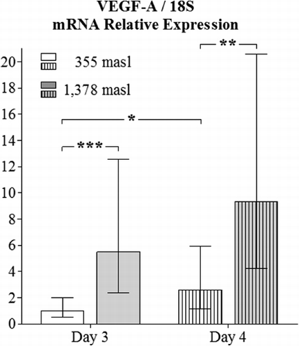 Figure 7. Vascular endothelial growth factor (VEGF-A) mRNA relative expression in YSM analysis. VEGF-A mRNA levels (shown in the Y axis) of 3- and 4-day-old chicken embryos incubated at 1378 and 355 masl. Expression levels are normalised to those of the internal control S18 ribosomal subunit (S18) and determined in every single sample from 15 individuals. Data are presented as mean±95% confidence interval. Statistical differences: *p<0.05; **p<0.01; ***p<0.001.