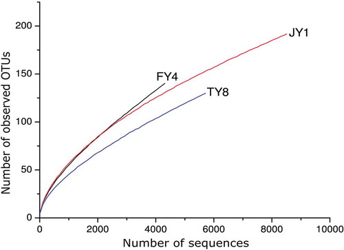 Figure 1. Rarefaction curves of samples.Figura 1. Curvas de rarefacción de las muestras