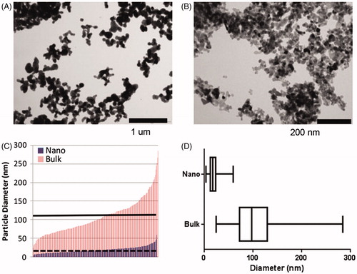 Figure 1. Transmission electron microscope (TEM) images of the bulk (A) and nano (B) particles of 68ZnO used to prepare sunscreens. (C) Individual measurements of particle size by TEM with each vertical bar representing the diameter of one particle. Measurements were made on particles extracted from the bulk (n = 237) and nanoparticle (n = 235) sunscreens. The solid, horizontal line indicates the mean bulk particle size and the dotted line the mean nanoparticle size. (D) Box plot showing particle size distributions, where the vertical line in each box represents the median value and the edges of the box represent the upper and lower quartiles. The whiskers at the ends of the horizontal lines represent the minimum and maximum values.