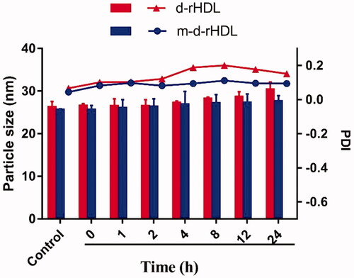 Figure 7. The particle size and PDI changes of d-rHDL and m-d-rHDL in PBS 7.4 containing 10% FBS.