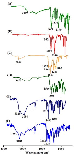 Figure 5. FTIR spectrum of terepthalic acid (A), Zn-MOFs (B), curcumin (C), CUR-Zn-MOFs (D), Dopamine (E), and PDA-CUR-Zn-MOFs (F).