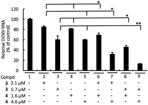 Figure 6. Combination assay of RdRp (3) and NS3 protease (4) inhibitors. Huh-7 cells were infected with DENV-2 at a multiplicity of infection (M.O.I) of 0.2 and followed by treatment of 3 and 4 with indicated concentration for 3 days. The DENV RNA level was analysed by RT-qPCR with specific primer targeting viral NS5 gene, and relative viral RNA levels were normalised against cellular GADPH mRNA levels. Error bars denote the means ± SD of three independent experiments. *p < .05; **p < .01.