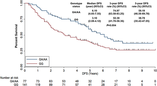 Figure 4 Disease-free survival of the 218 patients with colorectal cancer according to TYMP rs11479 genotype status (log-rank P value in the KM plot).
